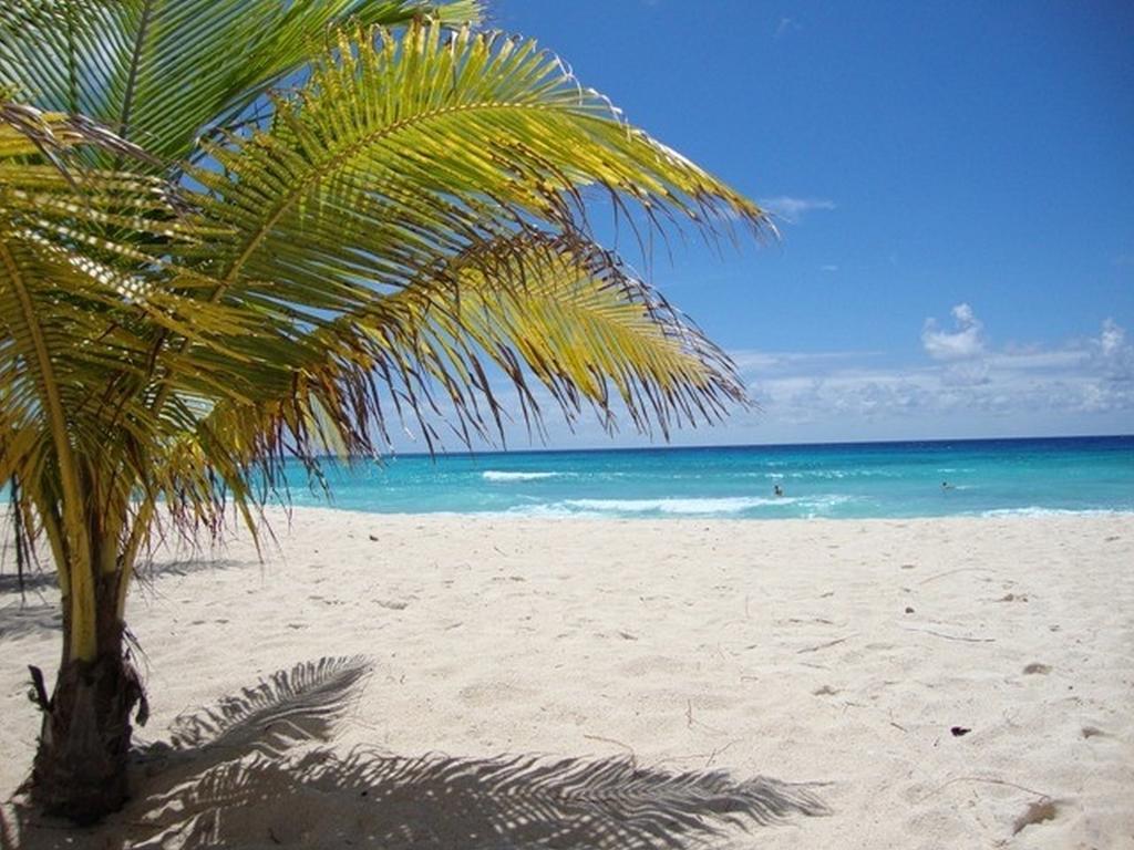 Beach Guest House Cleverdale Bridgetown Rum bild